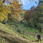Biotoppflege im NSG Nächstenbach