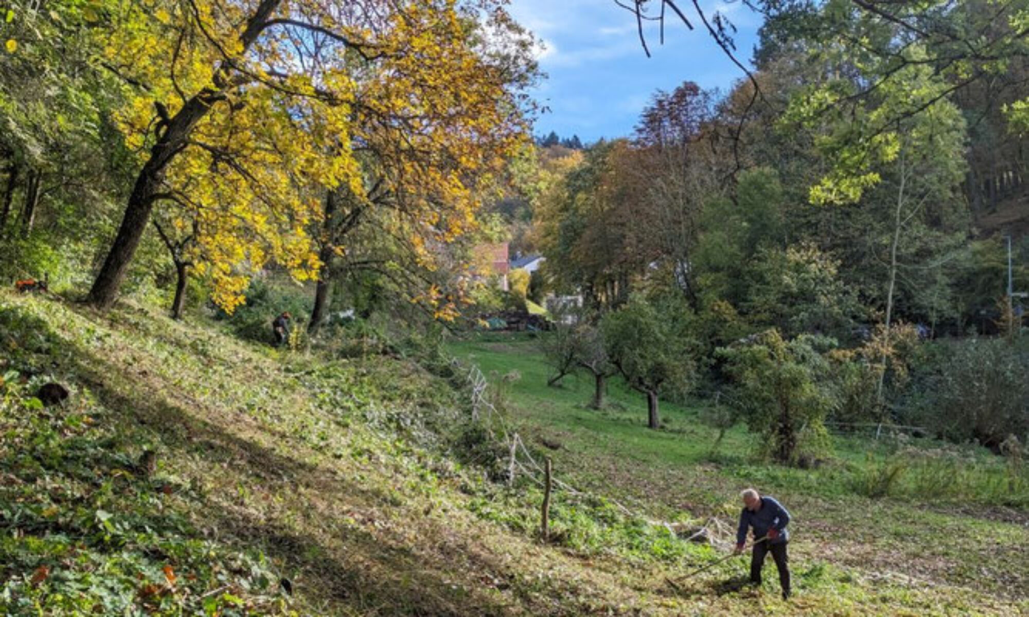 Biotoppflege im NSG Nächstenbach