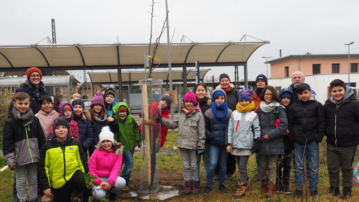 Mehr über den Artikel erfahren Die Bahnhofswiese lebt