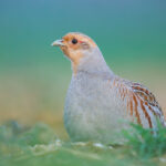 Mitgliederversammlung 2026