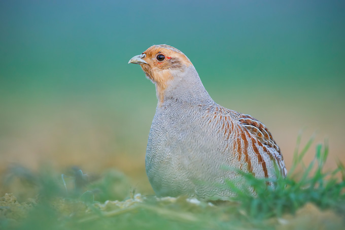 Mitgliederversammlung 2026