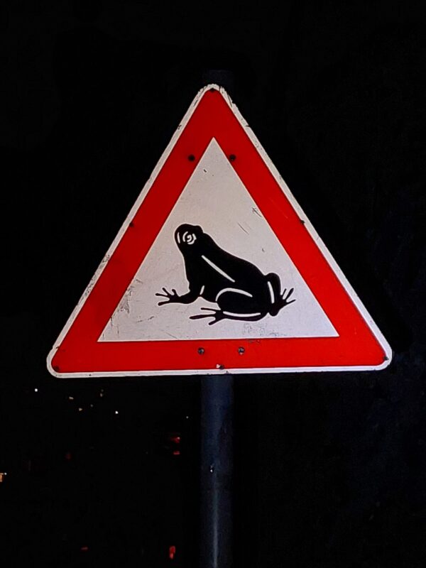 Du betrachtest gerade Krötenretter-Saison im Schloßpark