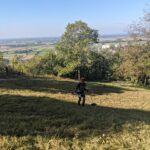 Biotoppflege im NSG Steinbruch Sulzbach