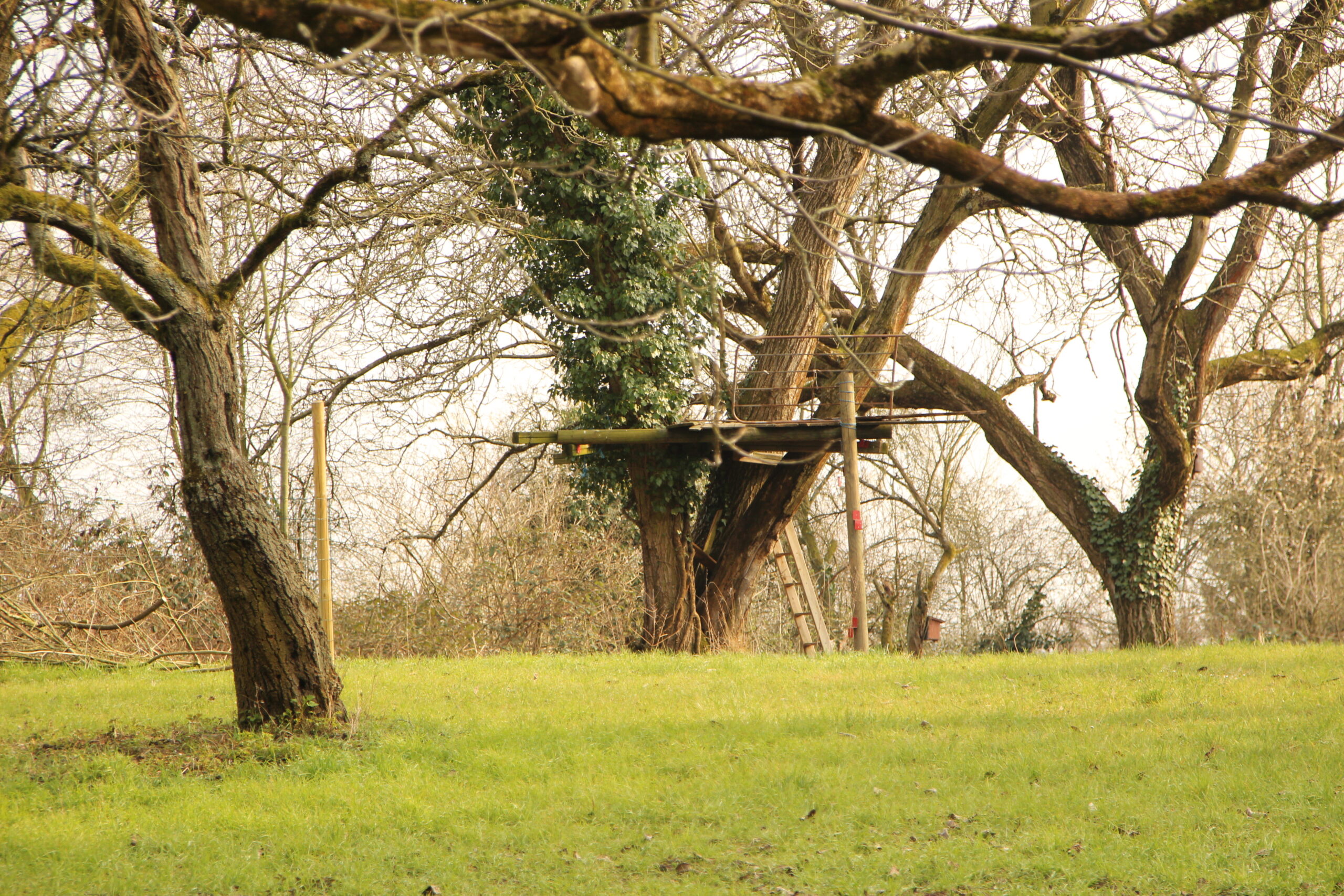 Pflege des 'Bunten Garten'