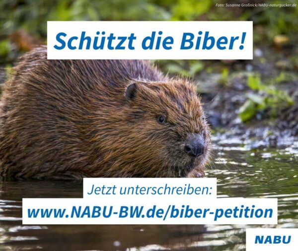 status-messengerbild_biber-petition_1080_x_1920_px_PN